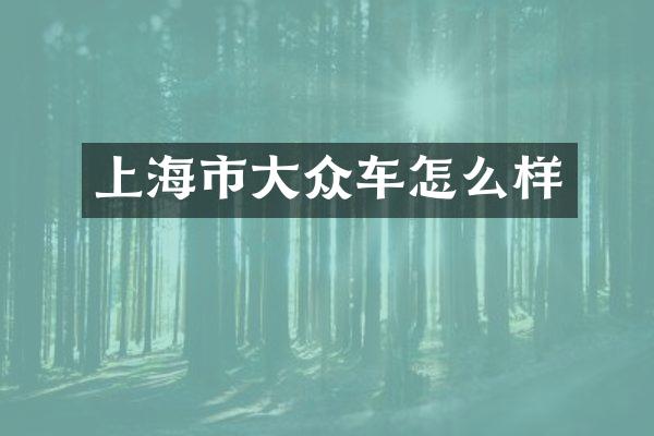 上海市大众车怎么样
