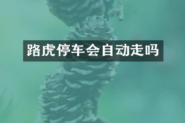 路虎停车会自动走吗