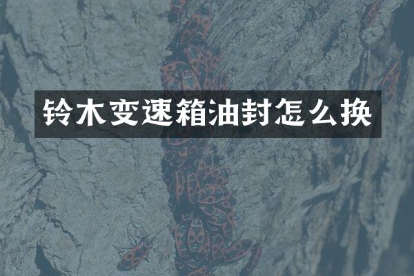 铃木变速箱油封怎么换