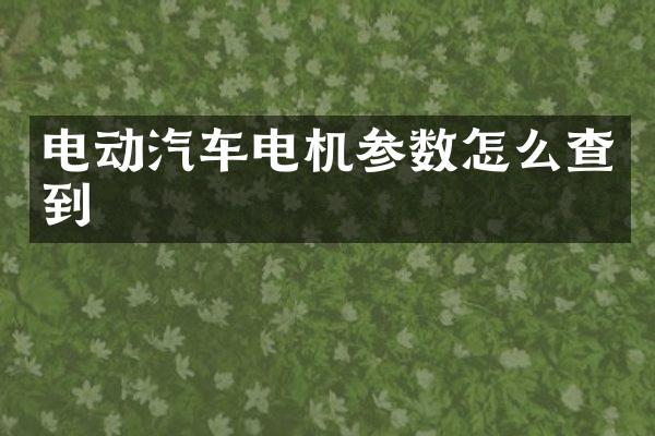 电动汽车电机参数怎么查到