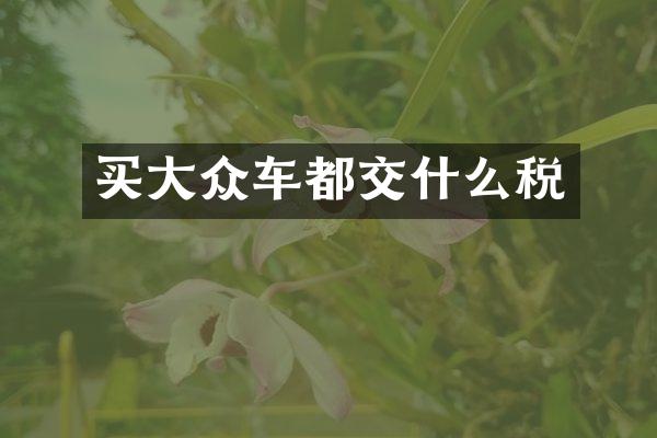 买大众车都交什么税