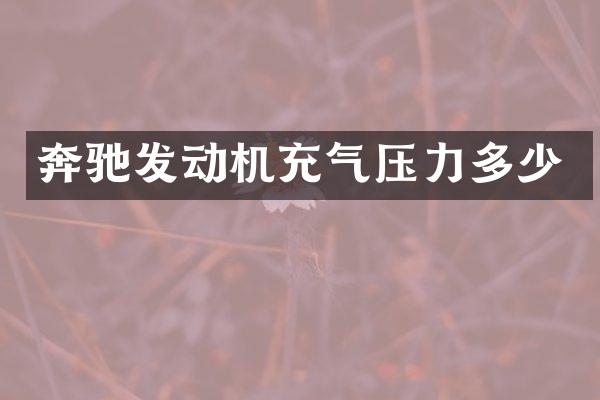 奔驰发动机充气压力多少