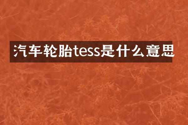 汽车轮胎tess是什么意思