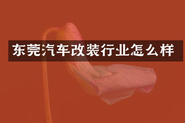 东莞汽车改装行业怎么样