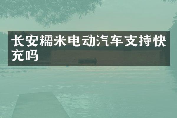 长安糯米电动汽车支持快充吗