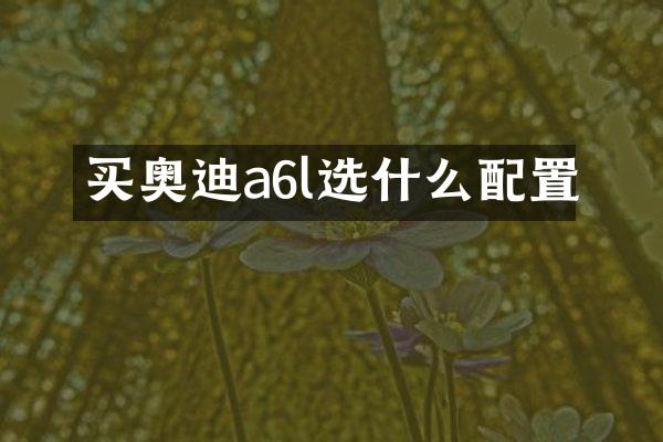 买奥迪a6l选什么配置