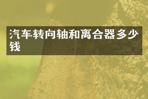 汽车转向轴和离合器多少钱