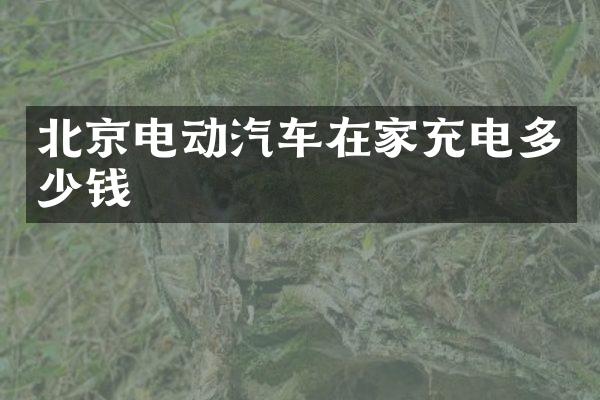 北京电动汽车在家充电多少钱