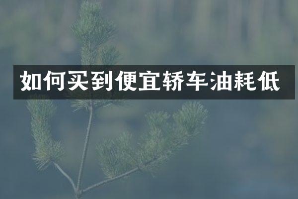 如何买到便宜轿车油耗低