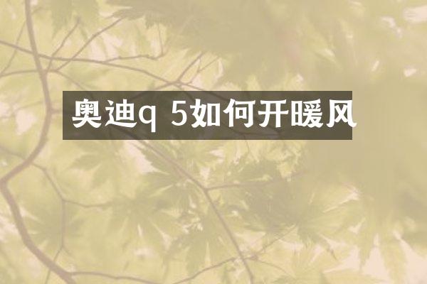 奥迪q 5如何开暖风
