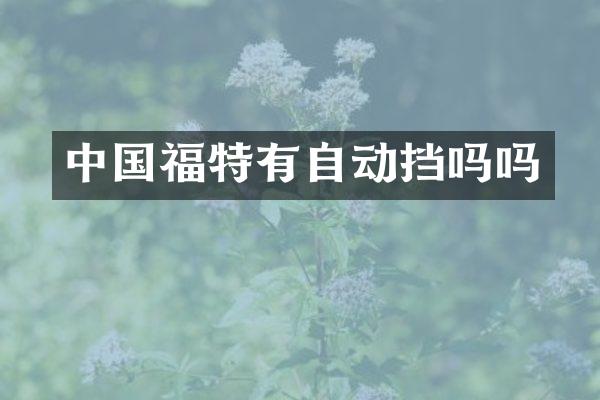 中国福特有自动挡吗吗