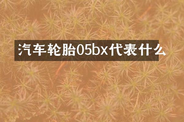 汽车轮胎05bx代表什么
