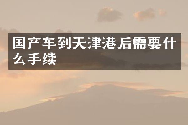 国产车到天津港后需要什么手续