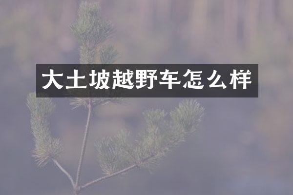 大土坡越野车怎么样