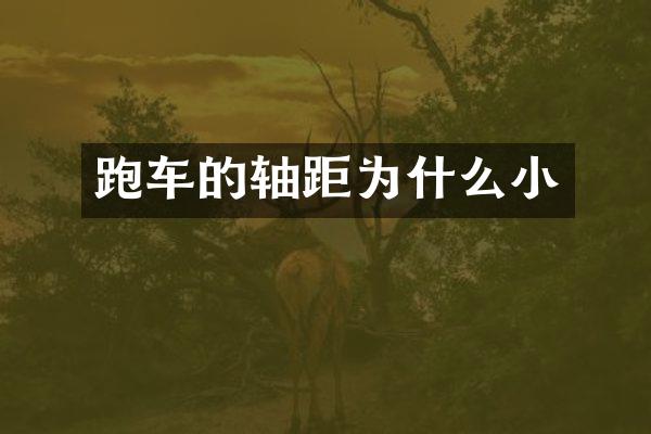 跑车的轴距为什么小