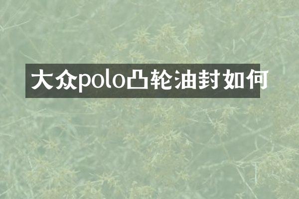 大众polo凸轮油封如何