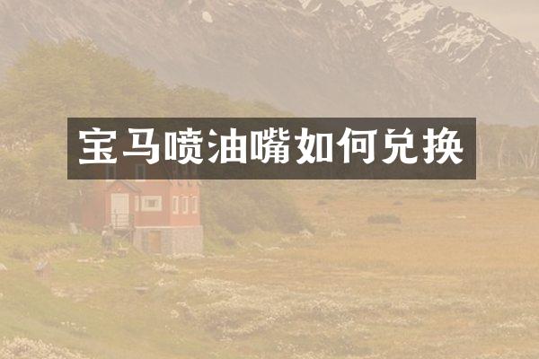 宝马喷油嘴如何兑换
