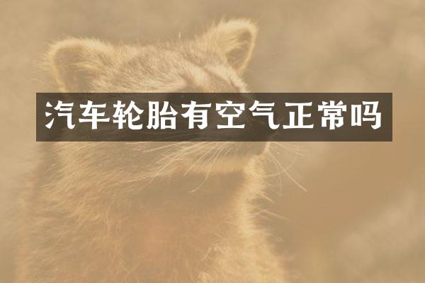 汽车轮胎有空气正常吗