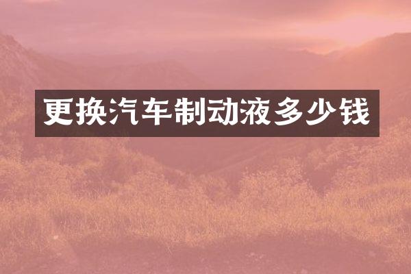 更换汽车制动液多少钱