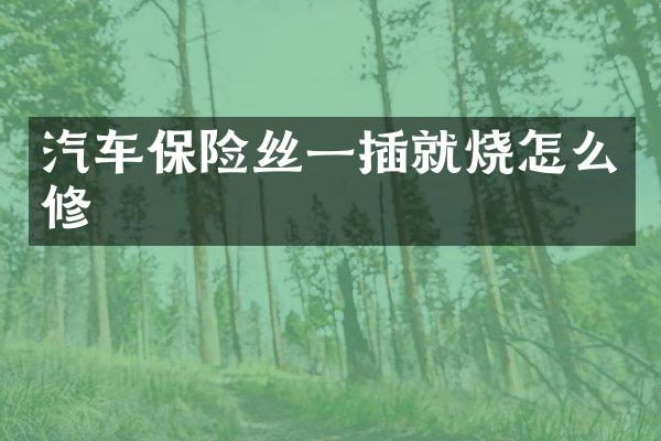 汽车保险丝一插就烧怎么修