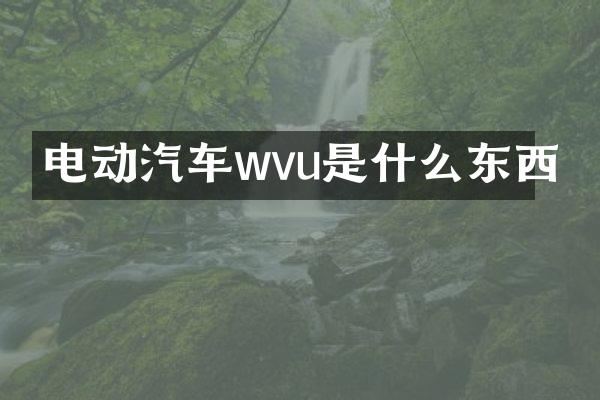电动汽车wvu是什么东西
