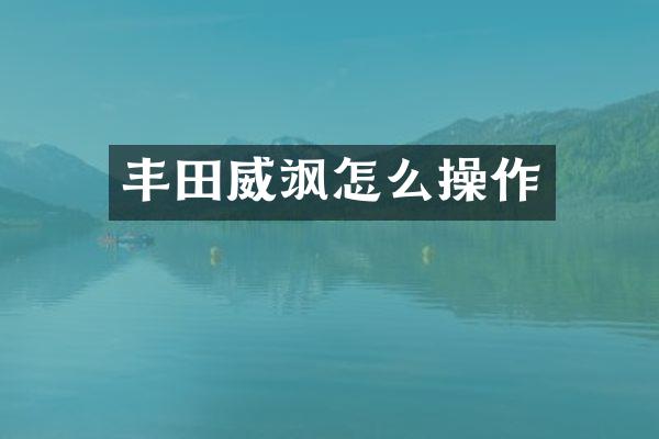 丰田威飒怎么操作