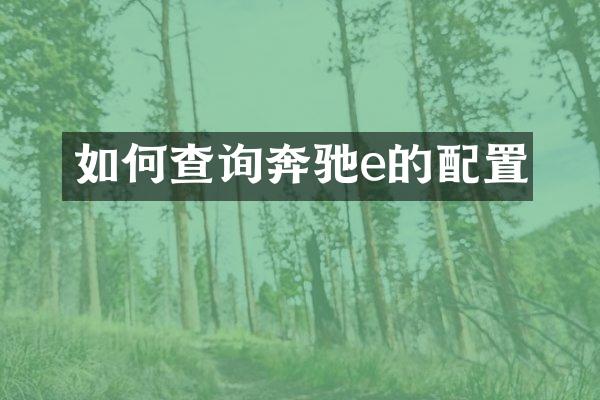 如何查询奔驰e的配置