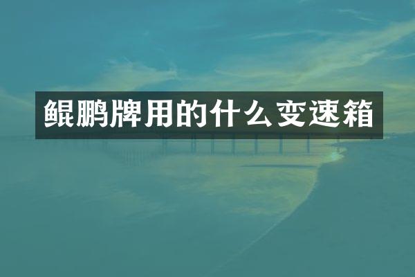 鲲鹏牌用的什么变速箱