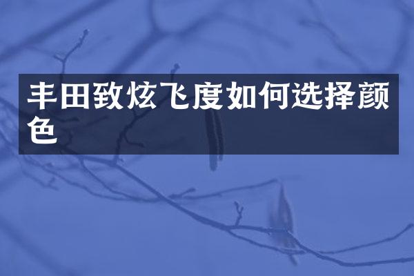丰田致炫飞度如何选择颜色