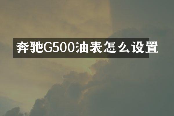 奔驰G500油表怎么设置