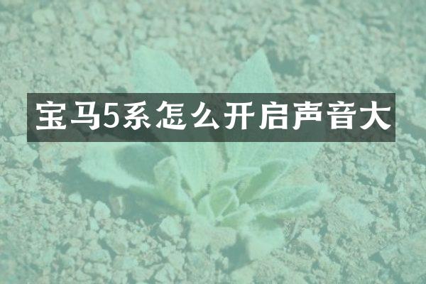 宝马5系怎么开启声音大