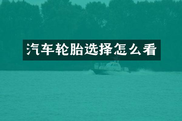 汽车轮胎选择怎么看