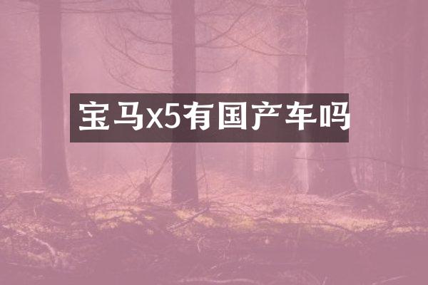 宝马x5有国产车吗