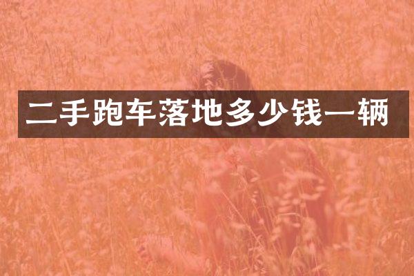 二手跑车落地多少钱一辆
