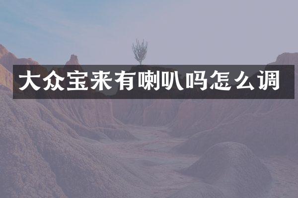 大众宝来有喇叭吗怎么调