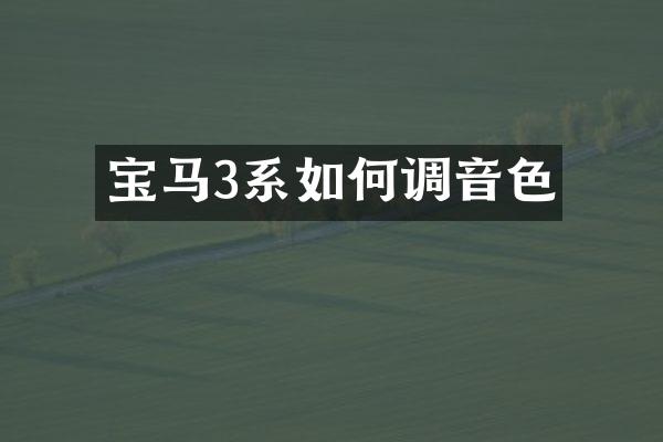 宝马3系如何调音色