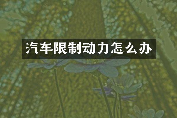 汽车限制动力怎么办