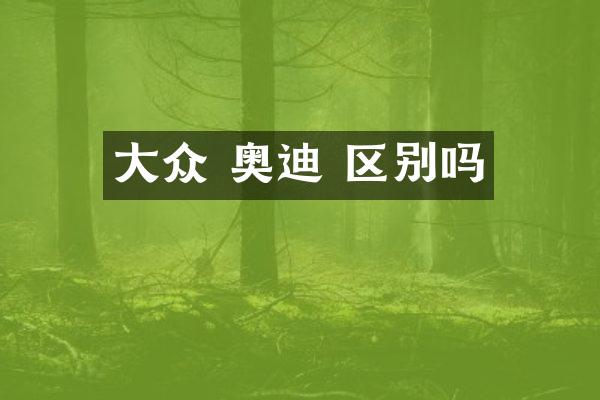 大众 奥迪 区别吗