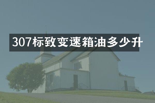 307标致变速箱油多少升