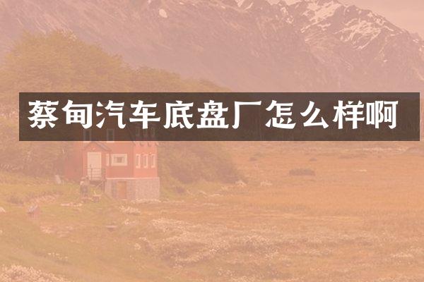 蔡甸汽车底盘厂怎么样啊