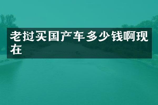 老挝买国产车多少钱啊现在
