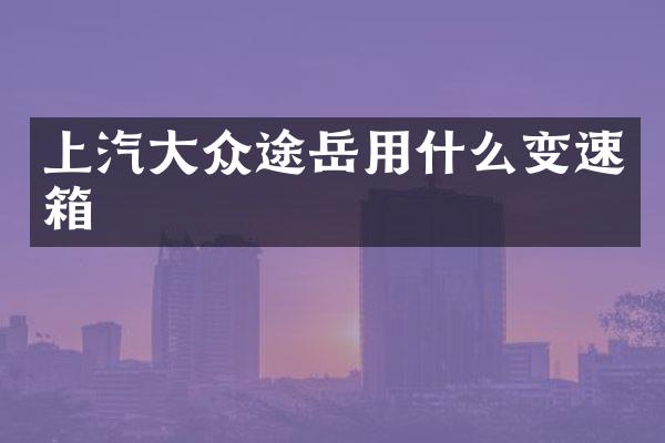 上汽大众途岳用什么变速箱