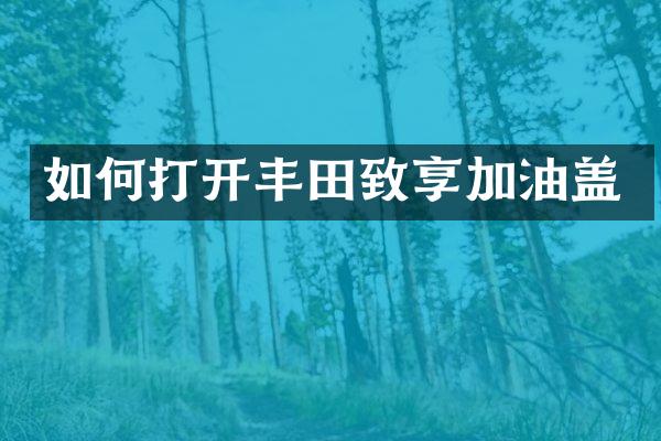 如何打开丰田致享加油盖