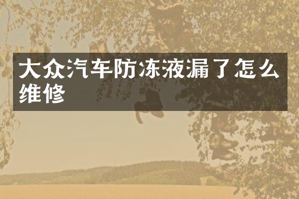 大众汽车防冻液漏了怎么维修