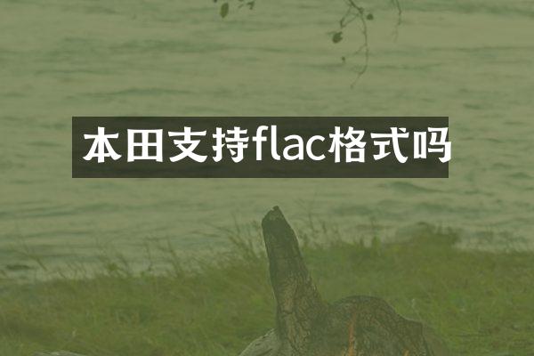 本田支持flac格式吗