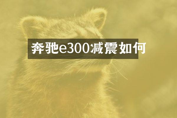 奔驰e300减震如何