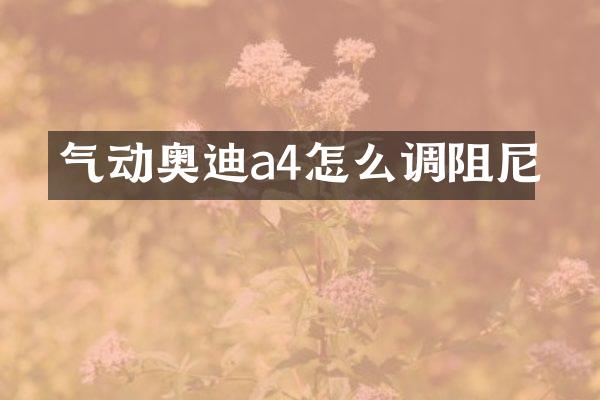 气动奥迪a4怎么调阻尼