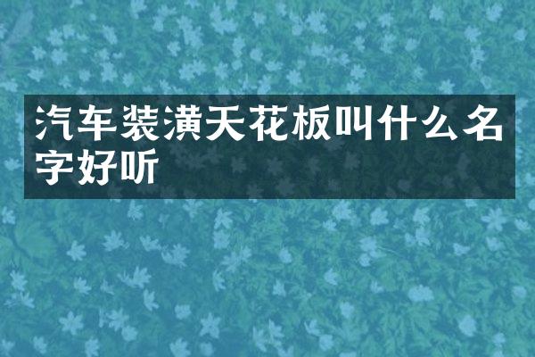 汽车装潢天花板叫什么名字好听