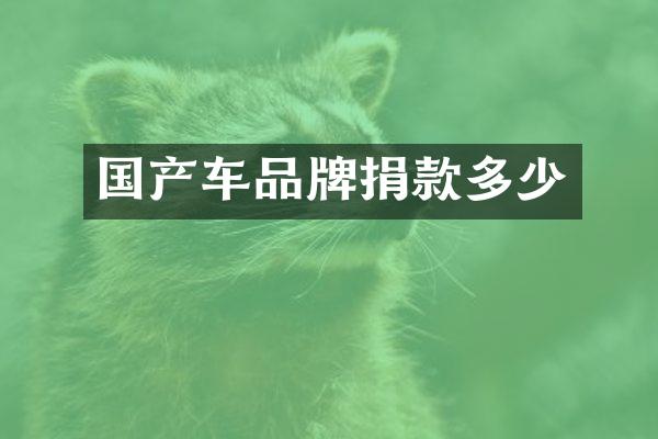 国产车品牌捐款多少