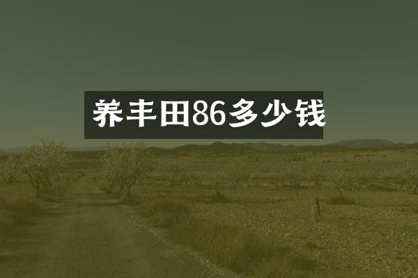 养丰田86多少钱